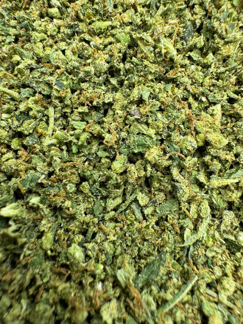 MAC 1 Shake Digital Art ERB HUB