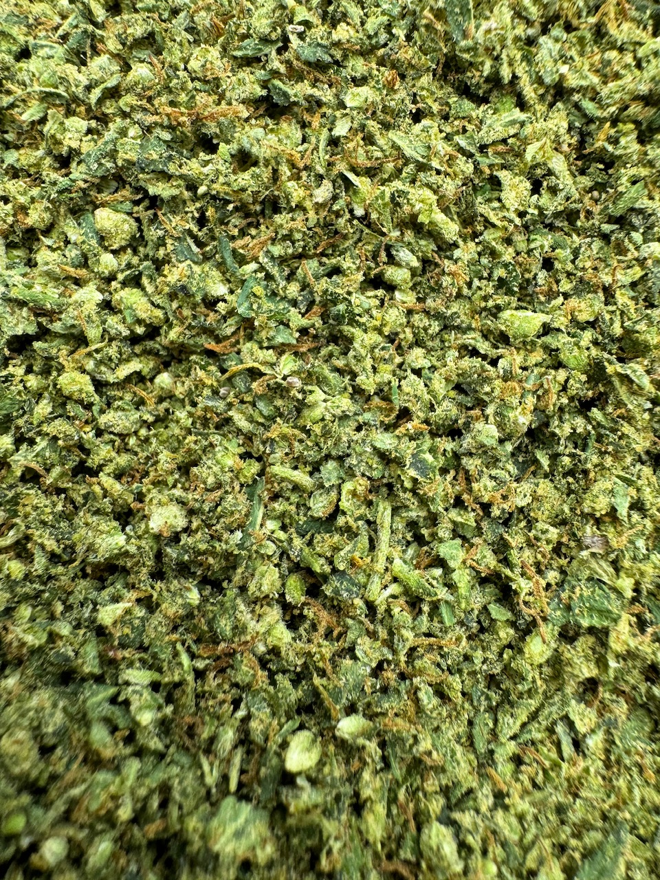 MAC 1 Shake Digital Art ERB HUB