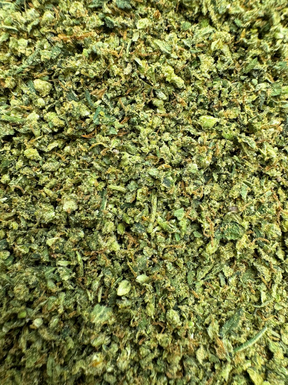 MAC 1 Shake Digital Art ERB HUB