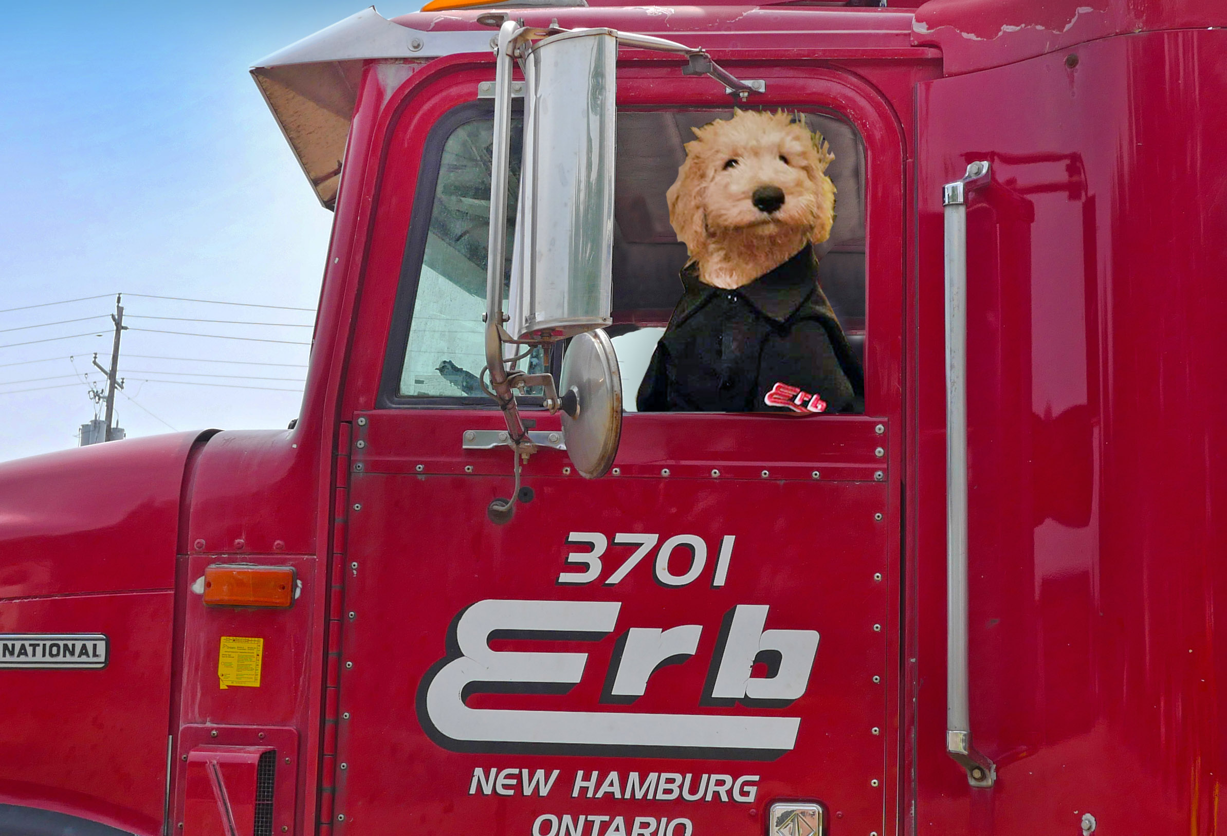 Erb Transport Trucking with pets and what you need to know