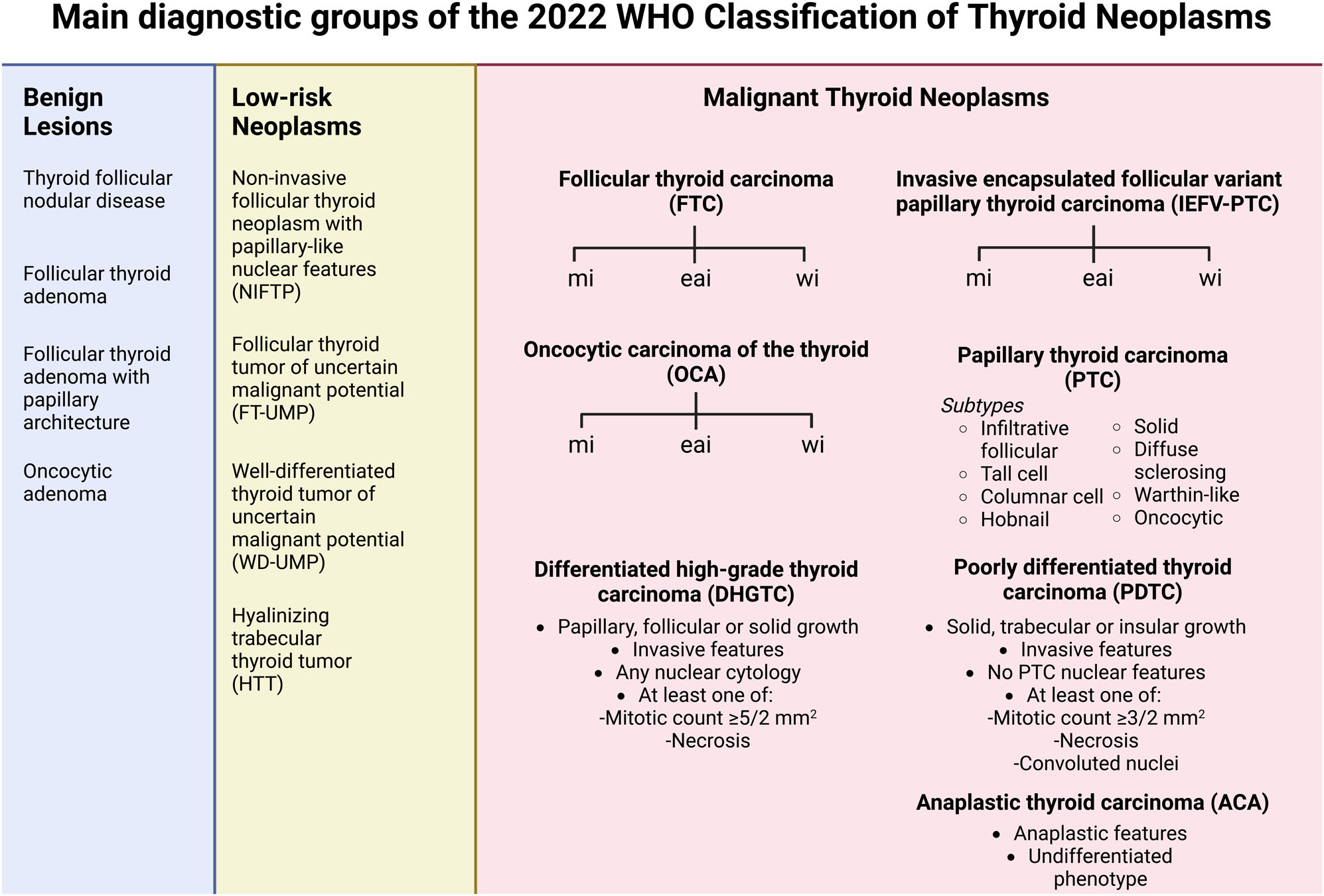 The 2022 WHO classification of thyroid tumors novel concepts in