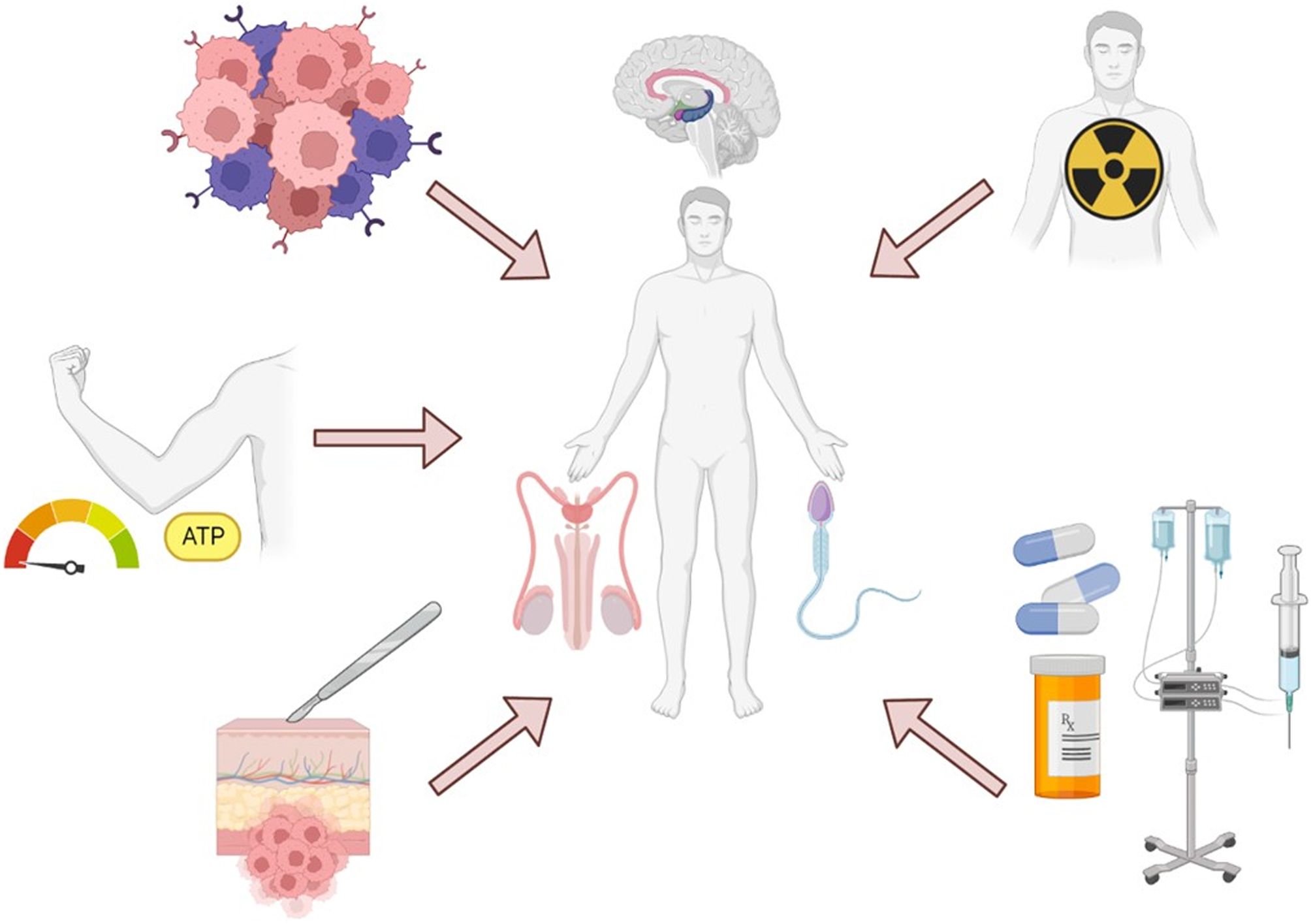 Talking about sex erectile dysfunction in the oncology patient in EndocrineRelated Cancer