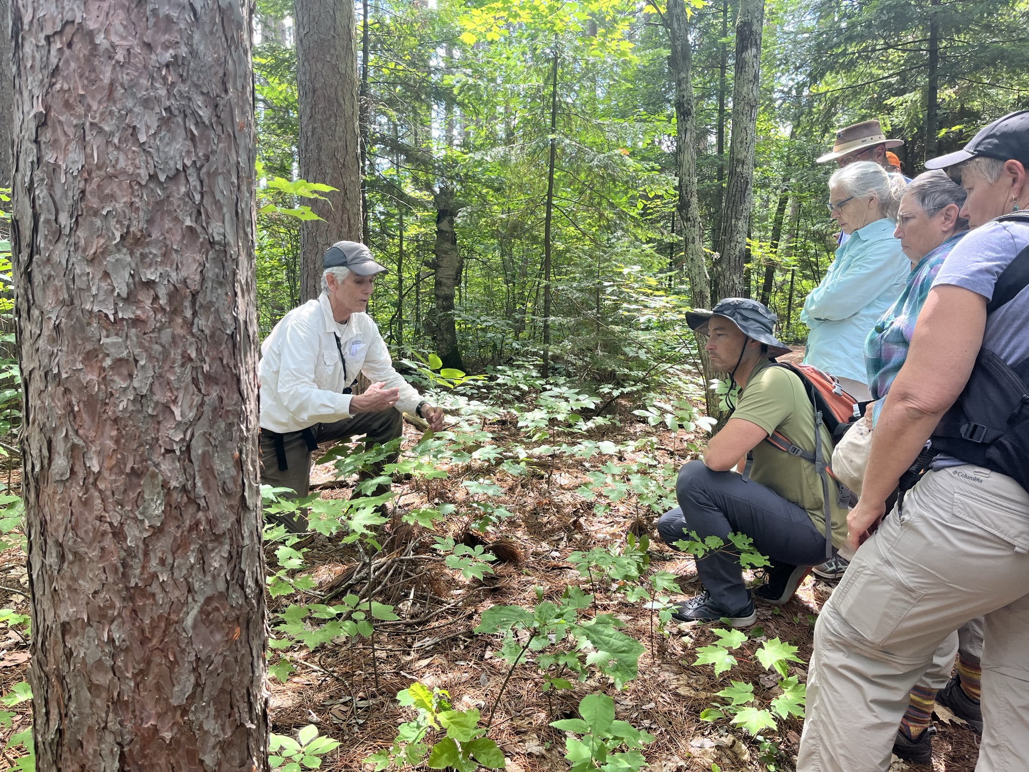 Trees for Tomorrow Wisconsin Master Naturalist