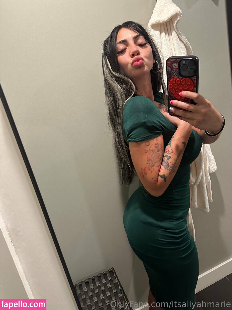 Aliyah Marie #1 Nude Leaked Photos & Videos- Erome