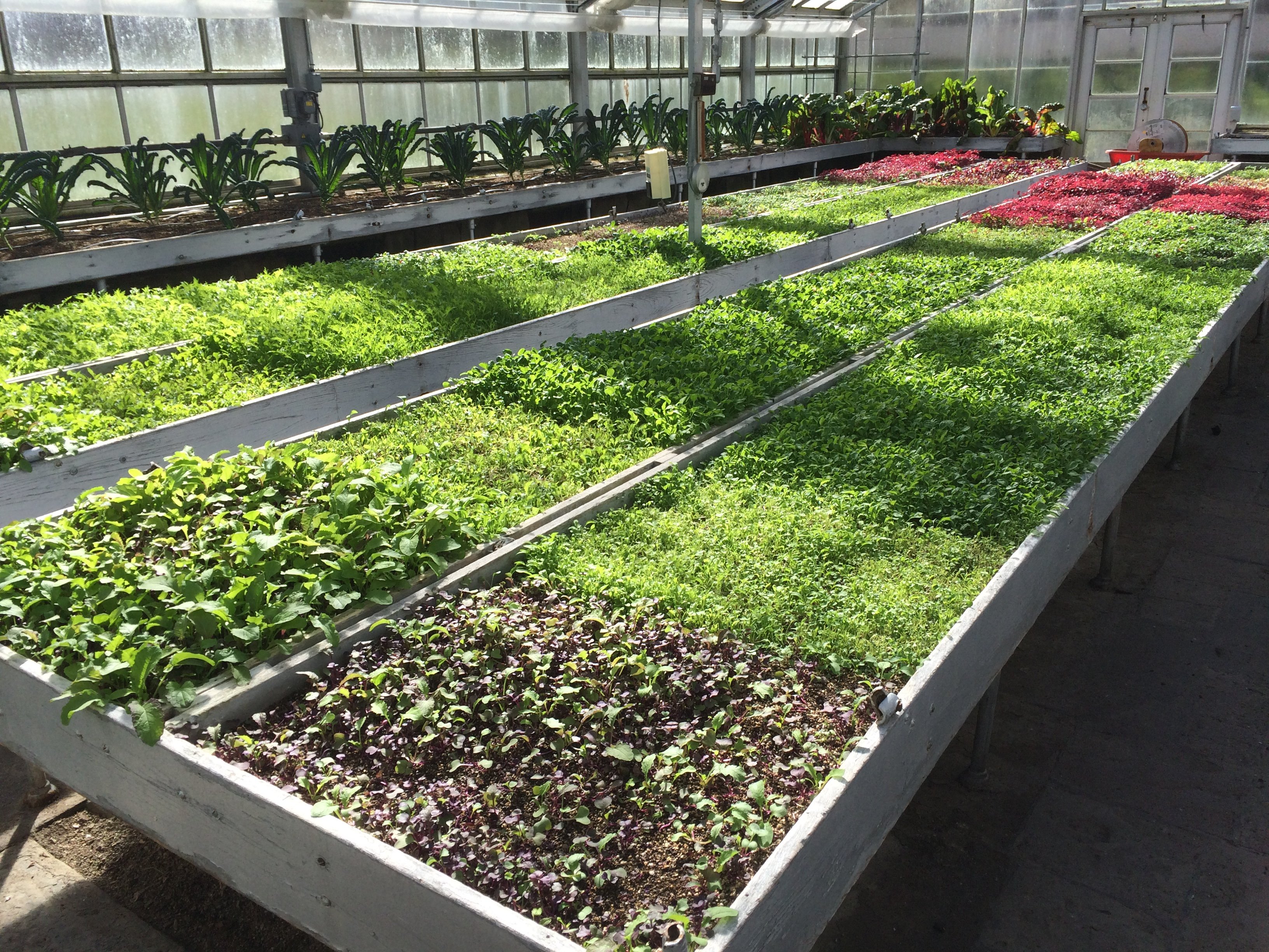 Erdenheim Farm Erdenheim Farm