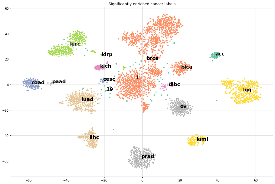 Examples — documentation