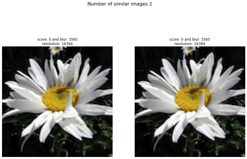 Flowers dataset — undouble undouble documentation