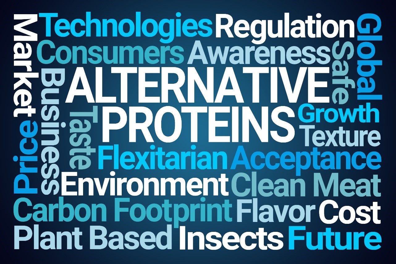 Alternative Proteins, Part 1 Drivers ERDYN