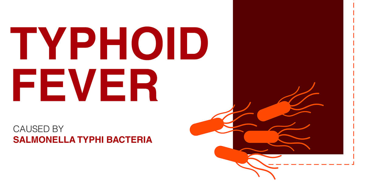 Typhoid Fever symptoms Archives Eremedium