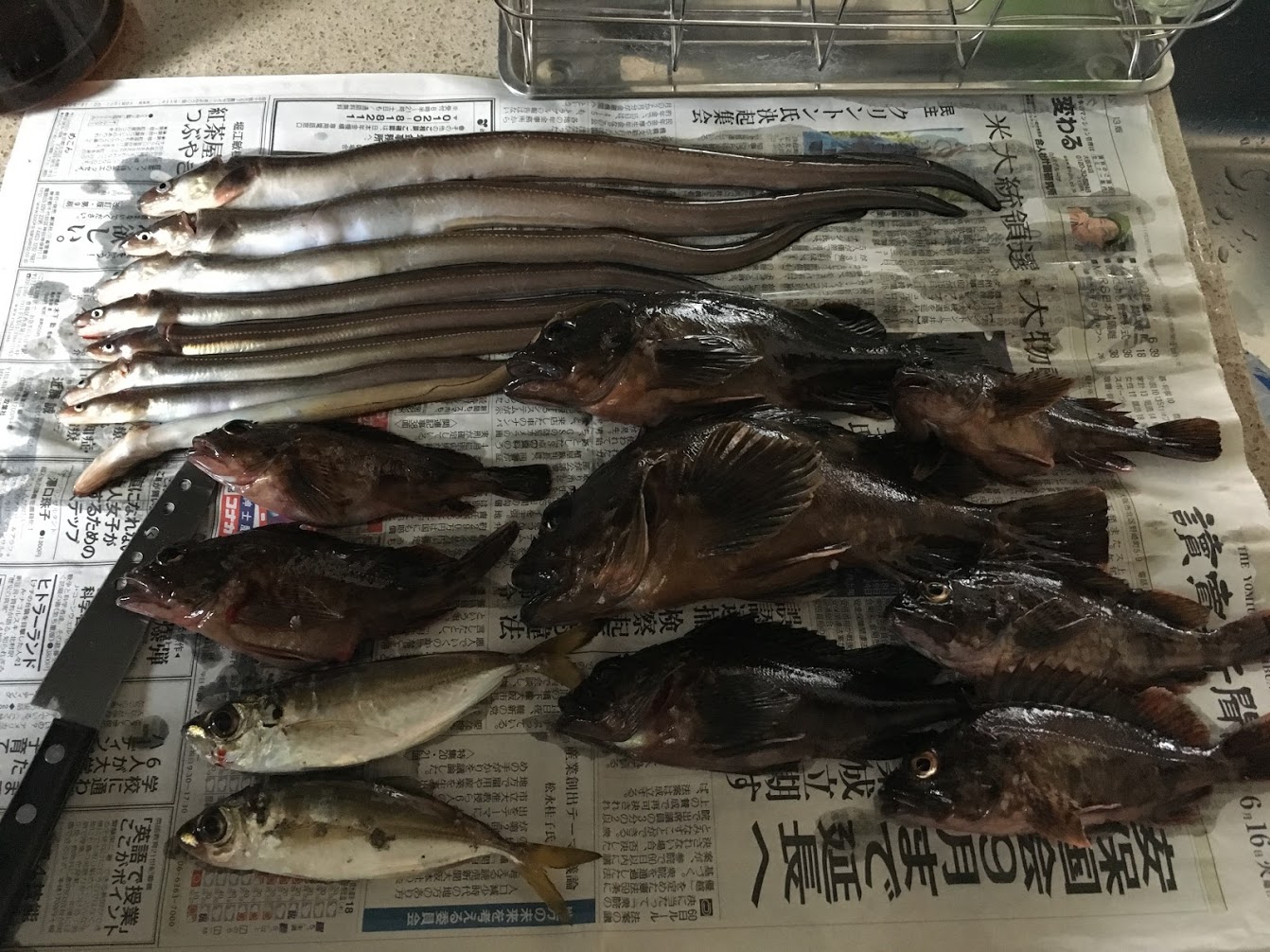 シーサイドコスモでウキ釣り（9回目）