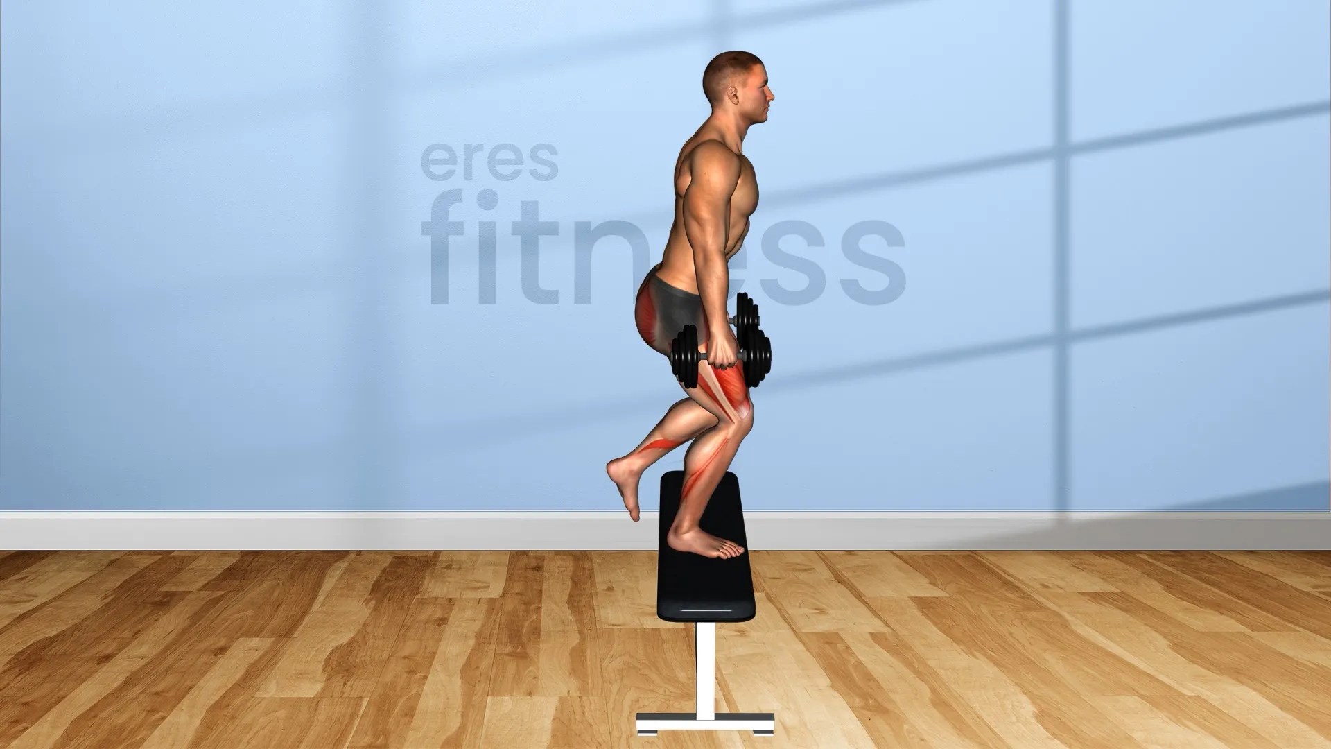 StepUp con mancuernas ¿Qué es y cómo hacerlo?