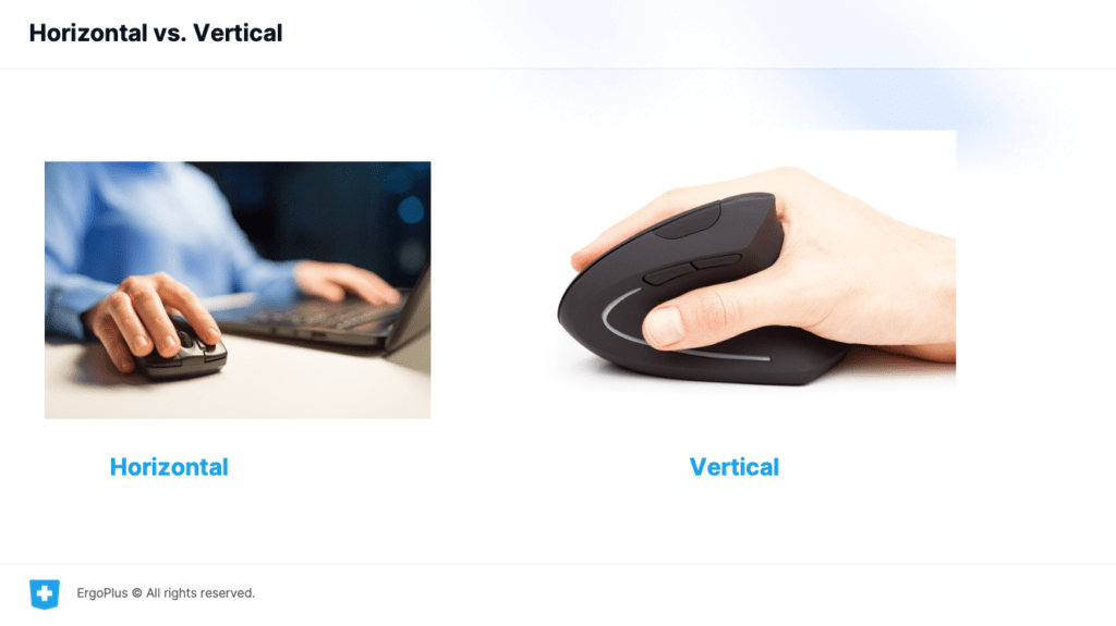 The Most Ergonomic Mice by the Ergonomics Experts ErgoPlus