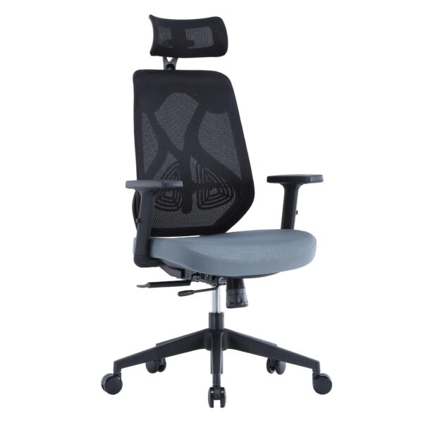 ErgoDC Ergonomic Designer Office Chair High Back Mesh ERGODC.