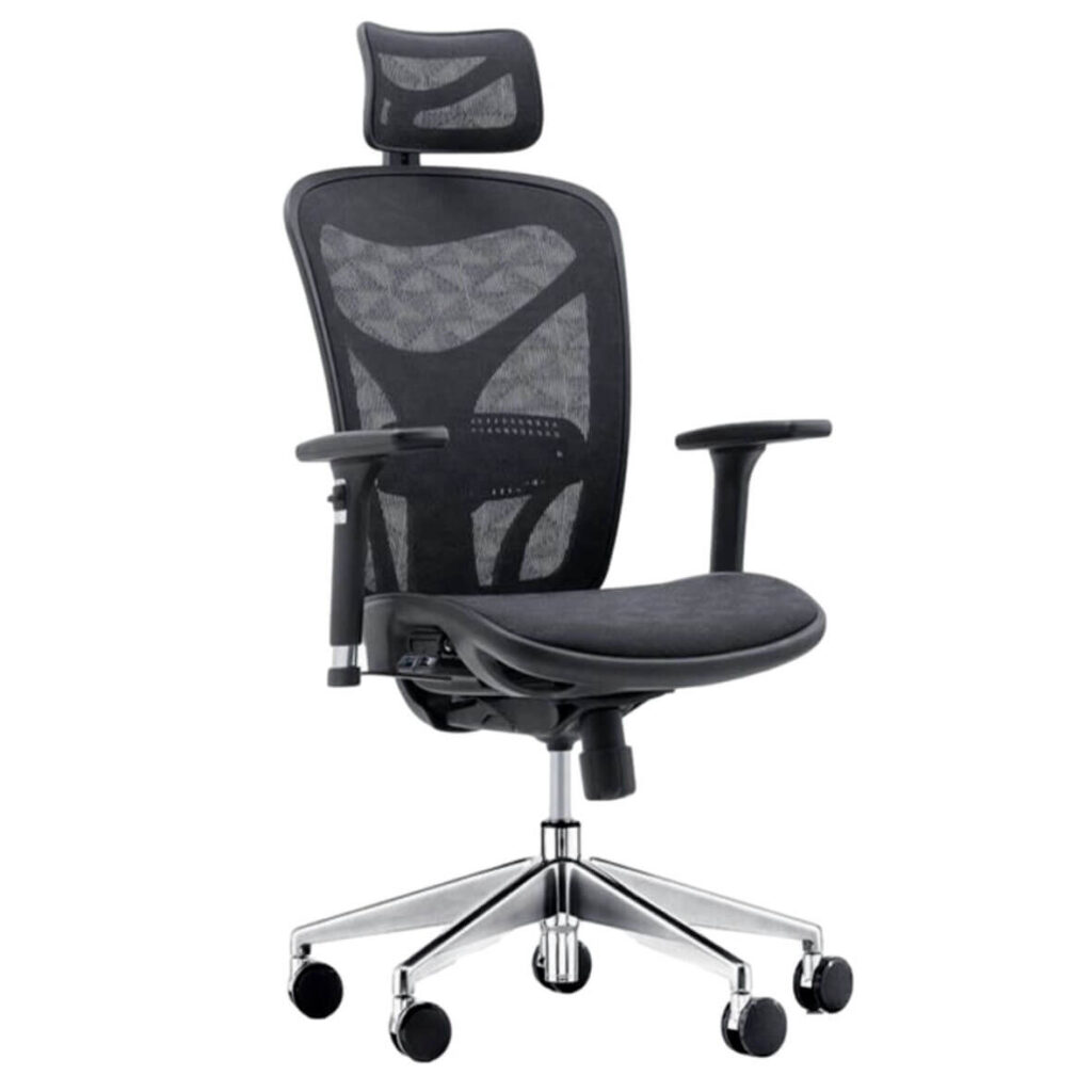 ErgoDC Ergonomic Office Chair High Back Full Mesh Black ERGODC.