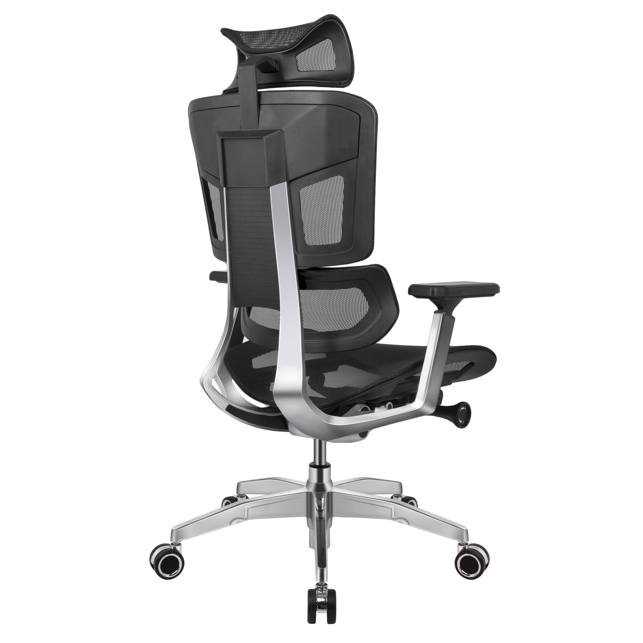 GTCHAIR Ergonomic Office Chair FLYMAX Black ERGODC.
