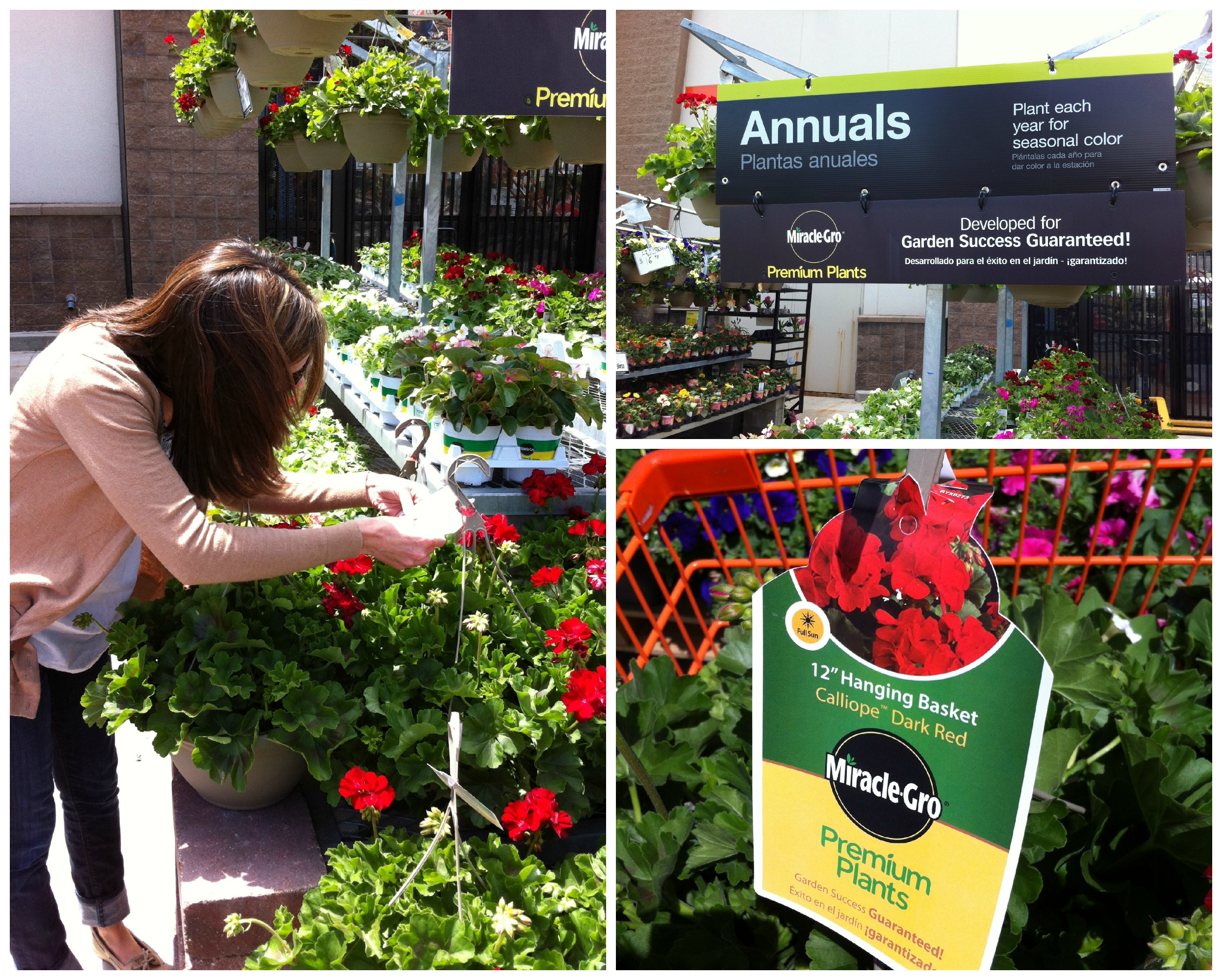 New Flowers for Mom & Enter to Win 100 at Home Depot + More! • Erica