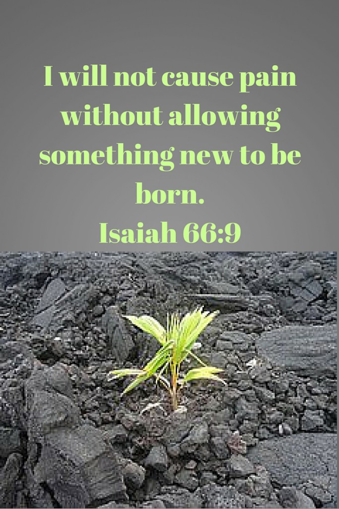 15 inspirational quotes for Empty Nesters Erica's Empty Nest