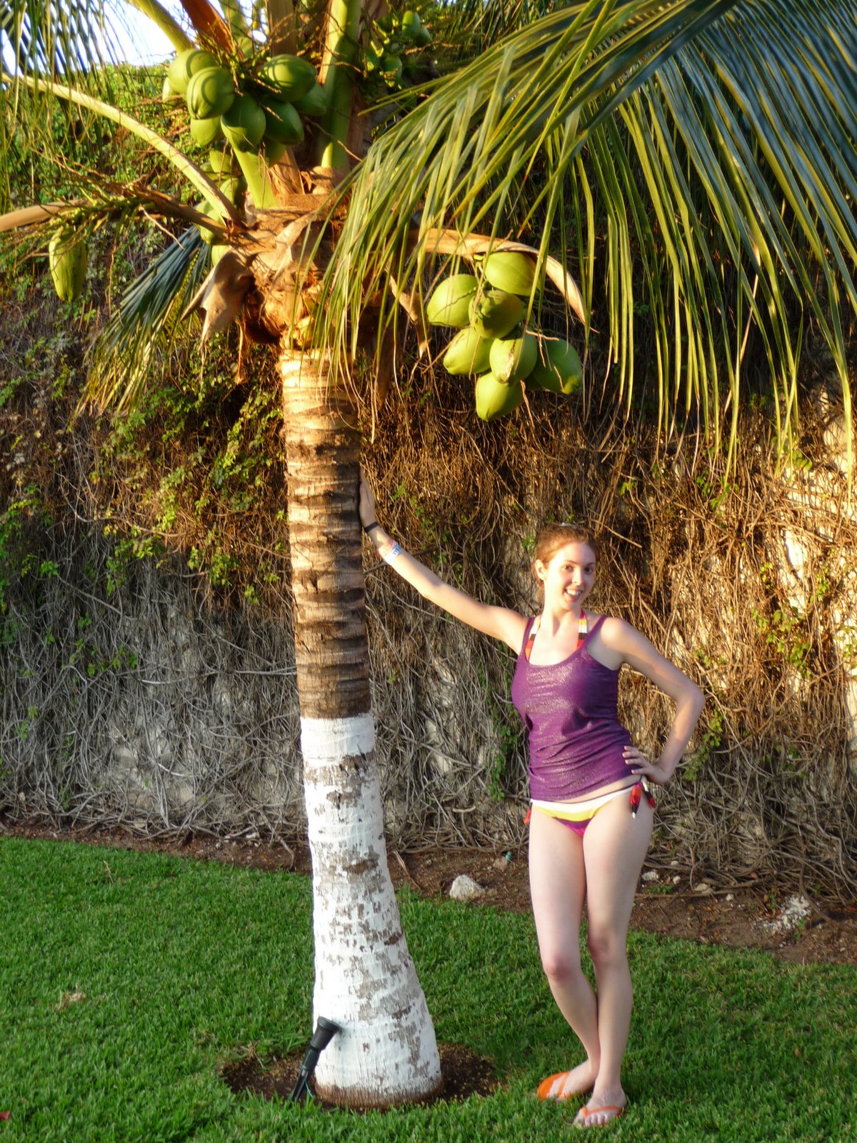 Why do people paint tree bottoms white? | Erica Swallow&rsquo;s Blog