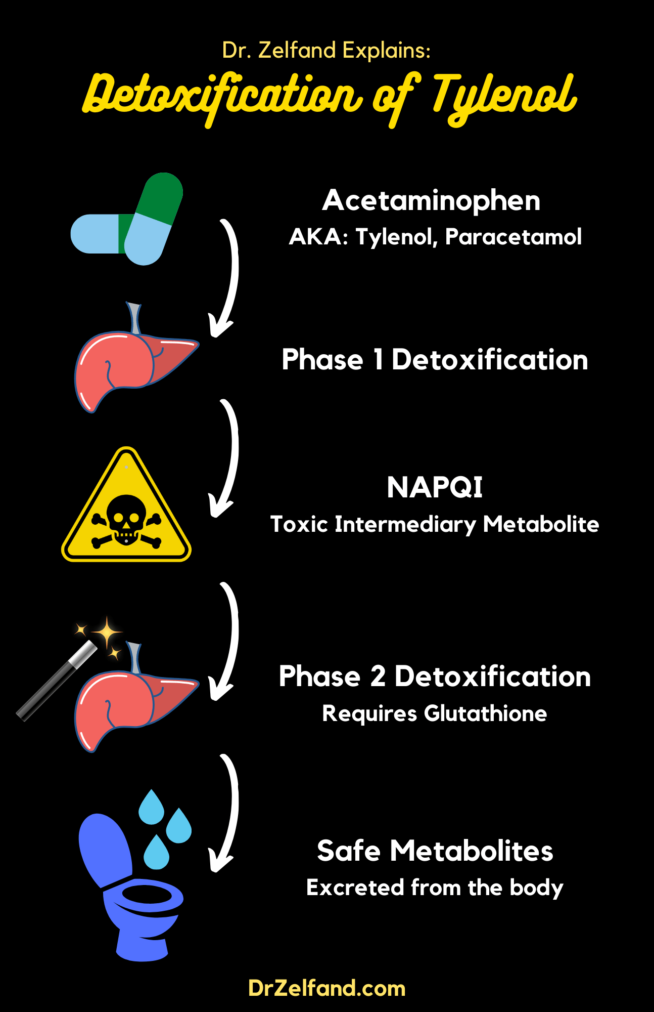 The Hangover Remedy That Can Kill You (Article + Video) Dr. Erica Zelfand Functional