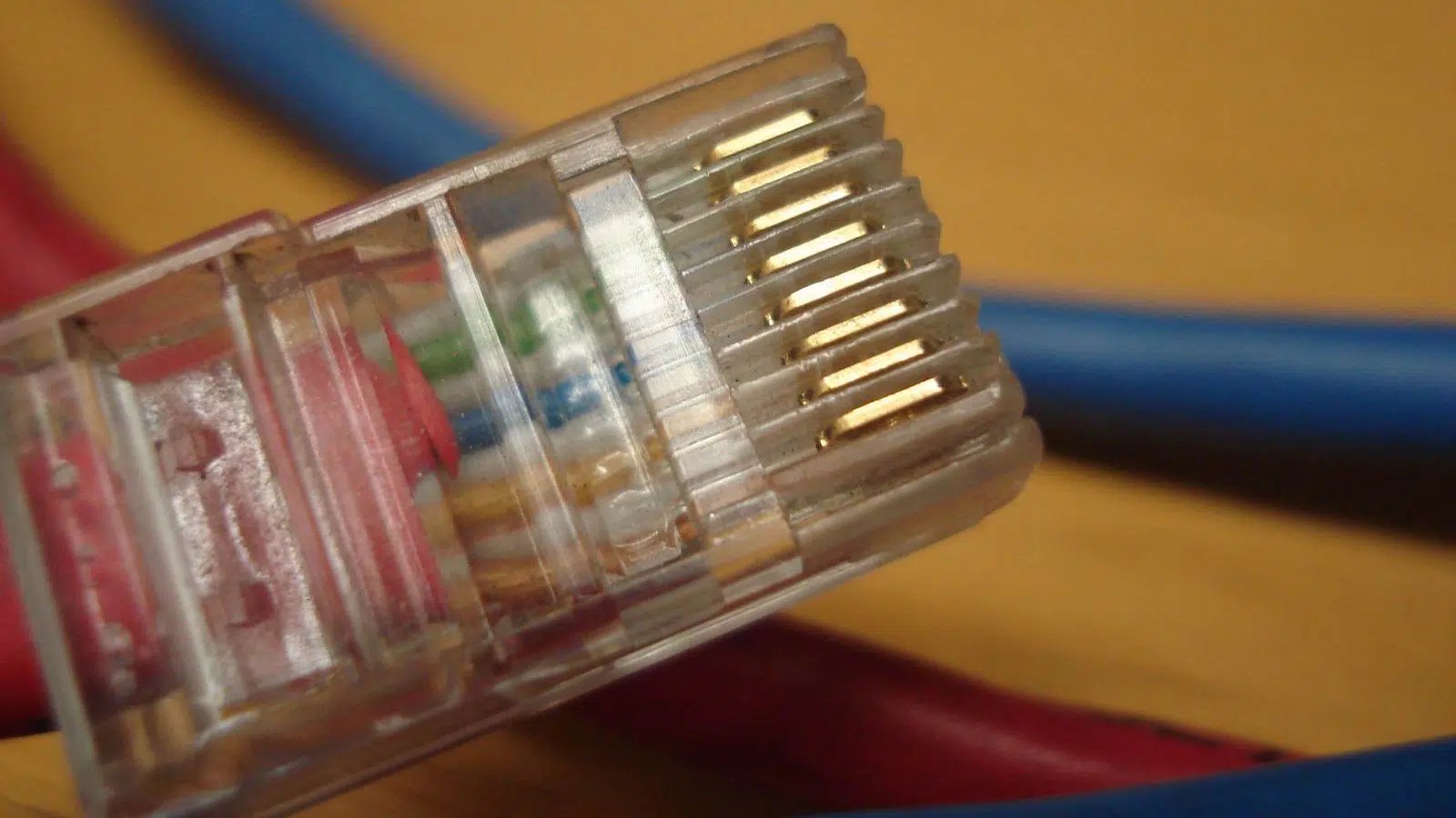 Network Plug - Image - Eric Dye