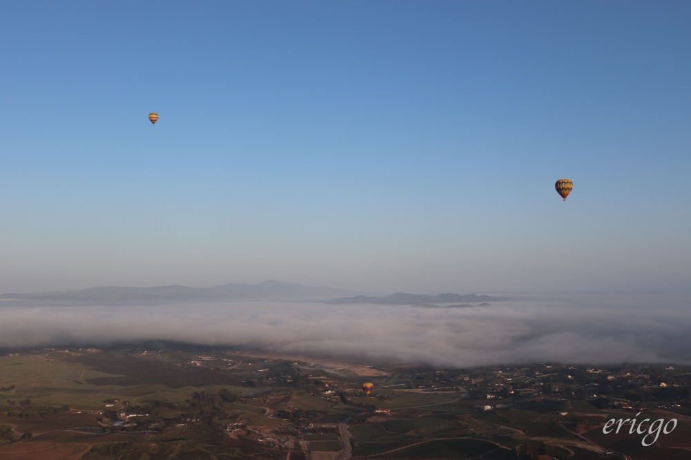 加州｜A Grape Escape Hot Air Balloon Adventure Temecula特曼庫拉，葡萄園空中冒險熱氣球之旅