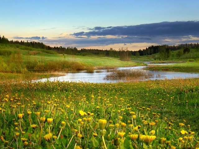 Eric J. Swanson » What we can learn from Ecotones
