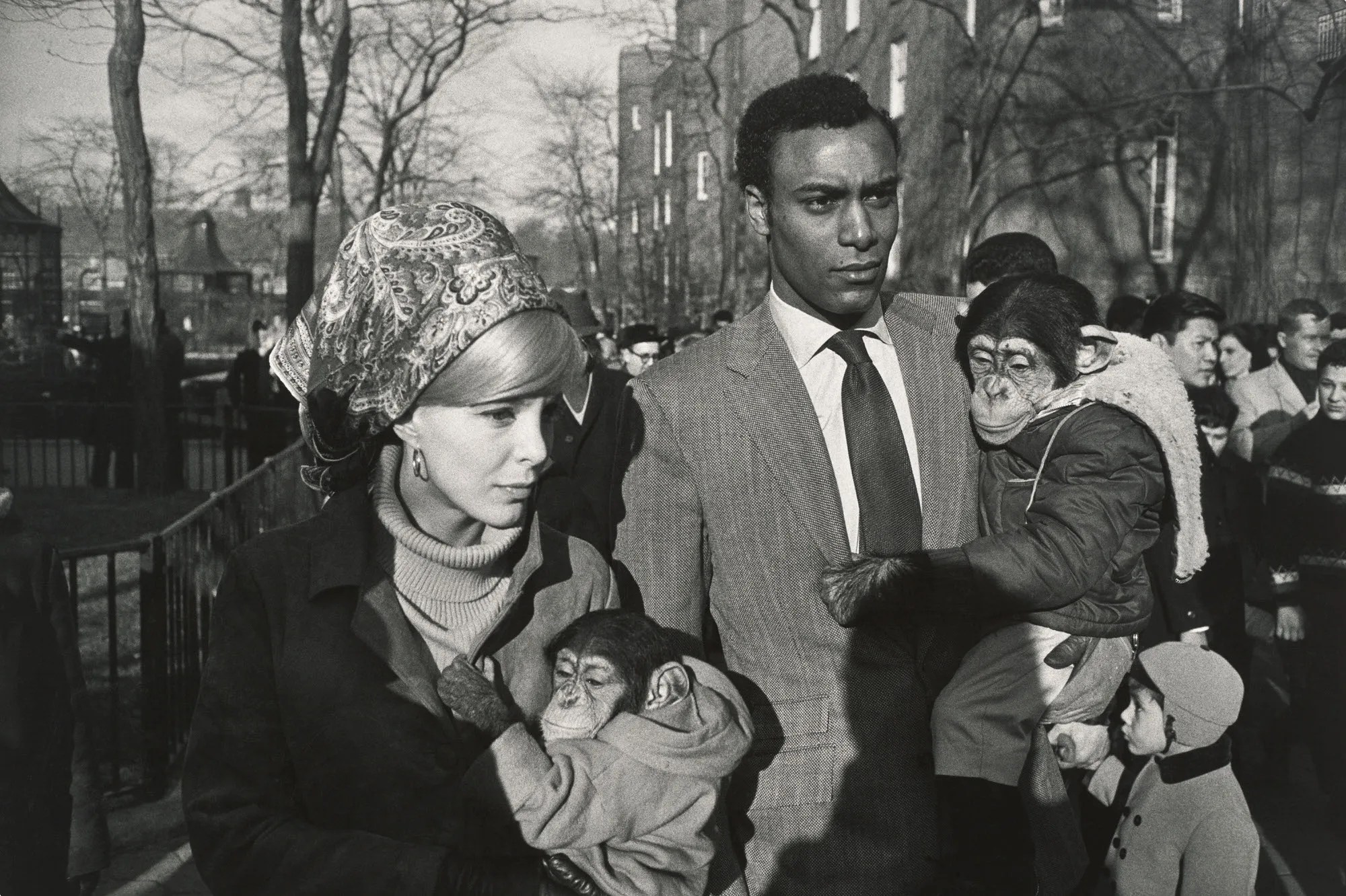 Garry winogrand famous photo monkey photo interracial couple