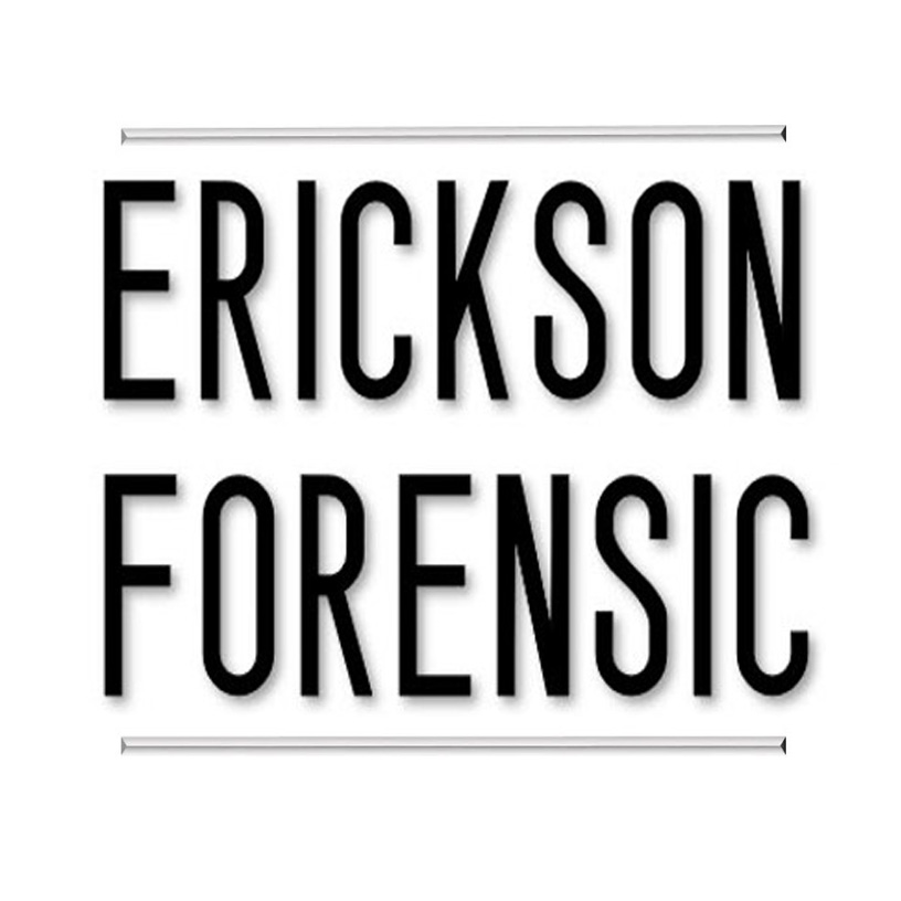 Accident Reconstruction Expert Witness Erickson Forensic