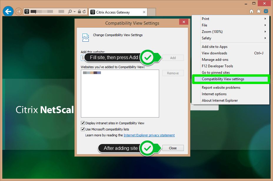 Citrix Receiver on Windows 8.1 Development by Eric