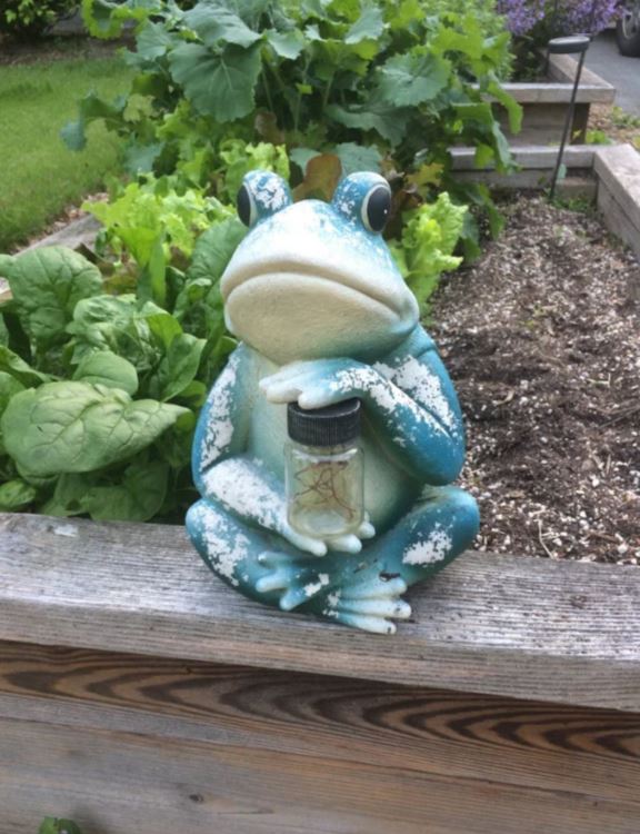 Busy body complains to HOA about frog statue. Eric Zane Show