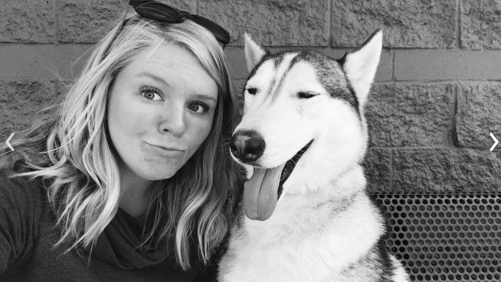 Erie PA Dog Training Off Leash K9 Training Erie