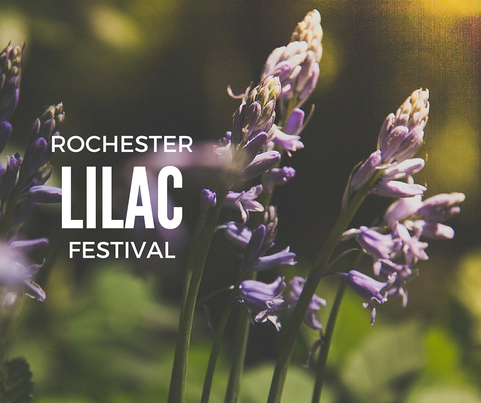 Area Activity Guide 2016 Rochester Lilac Festival Erie Station