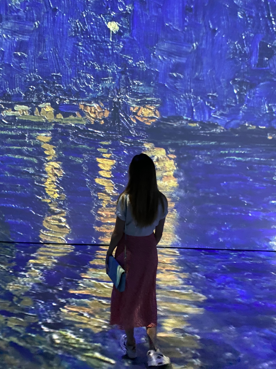 My Experience at Beyond Van Gogh Austin erika abroad