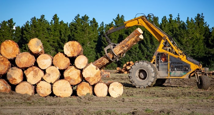 The Best How To Start A Land Clearing Business 2022 » start.cryptobrain