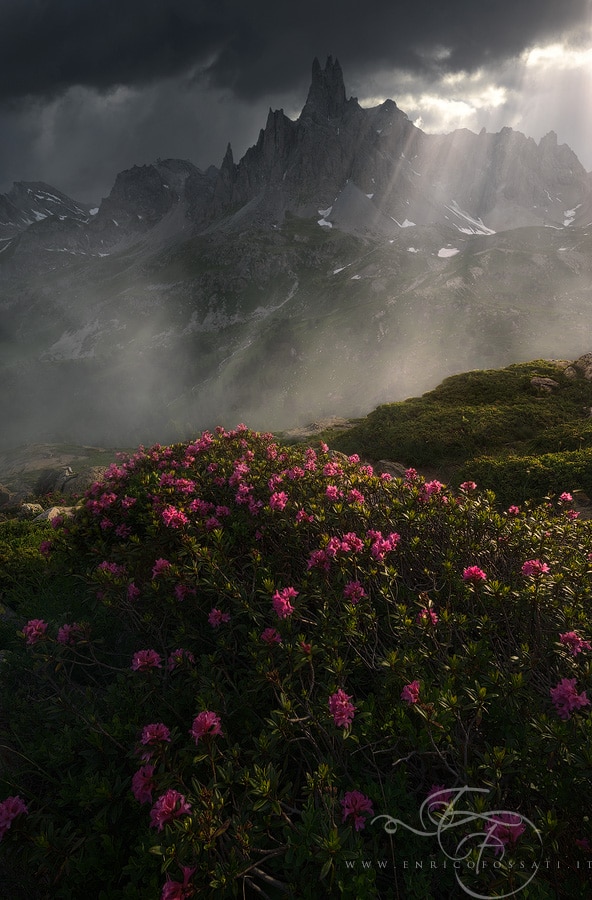 French Alps 2022 Photography by Erin Babnik