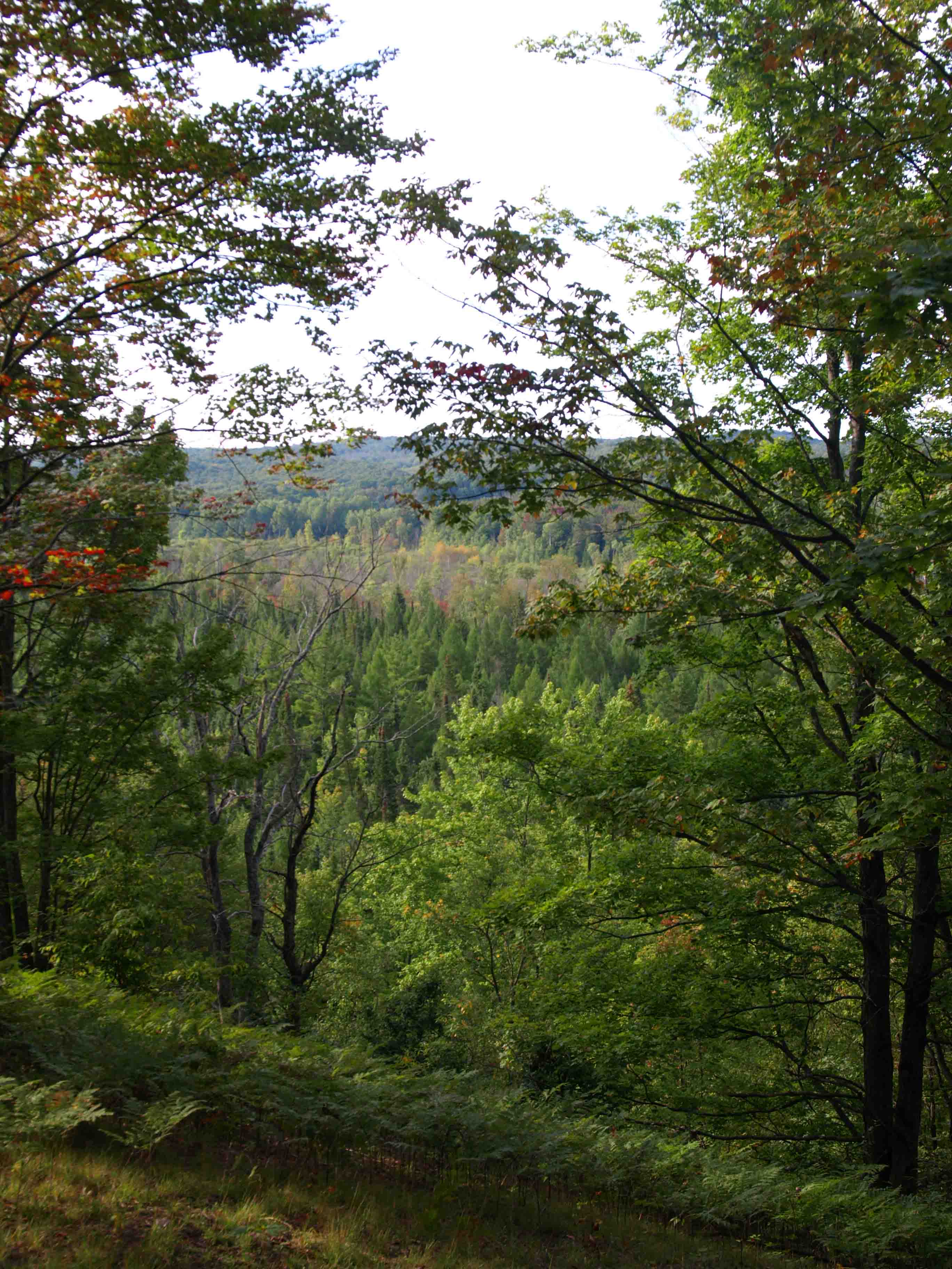 Hiking the Jordan River Pathway, Day 2 Erin Bartels