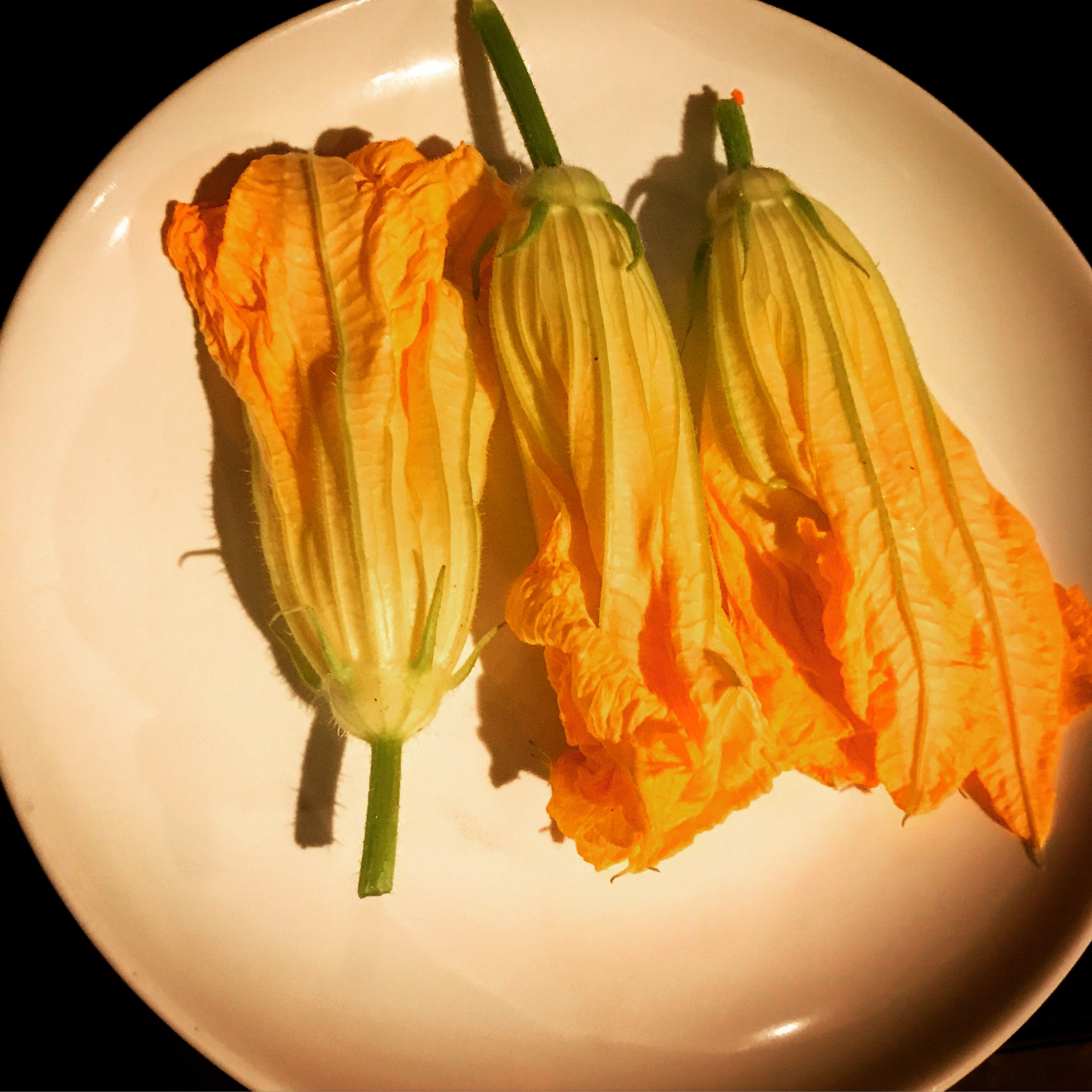Flower Power! Three Great Zucchini Blossom Recipes ErinGoScratch