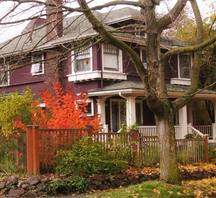 Best Plant for Seattle Fall Color