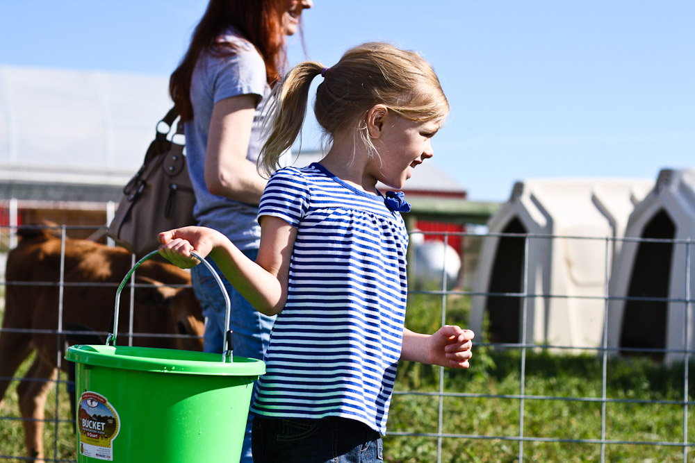 Gale Woods Farm Adventure The Munchkins