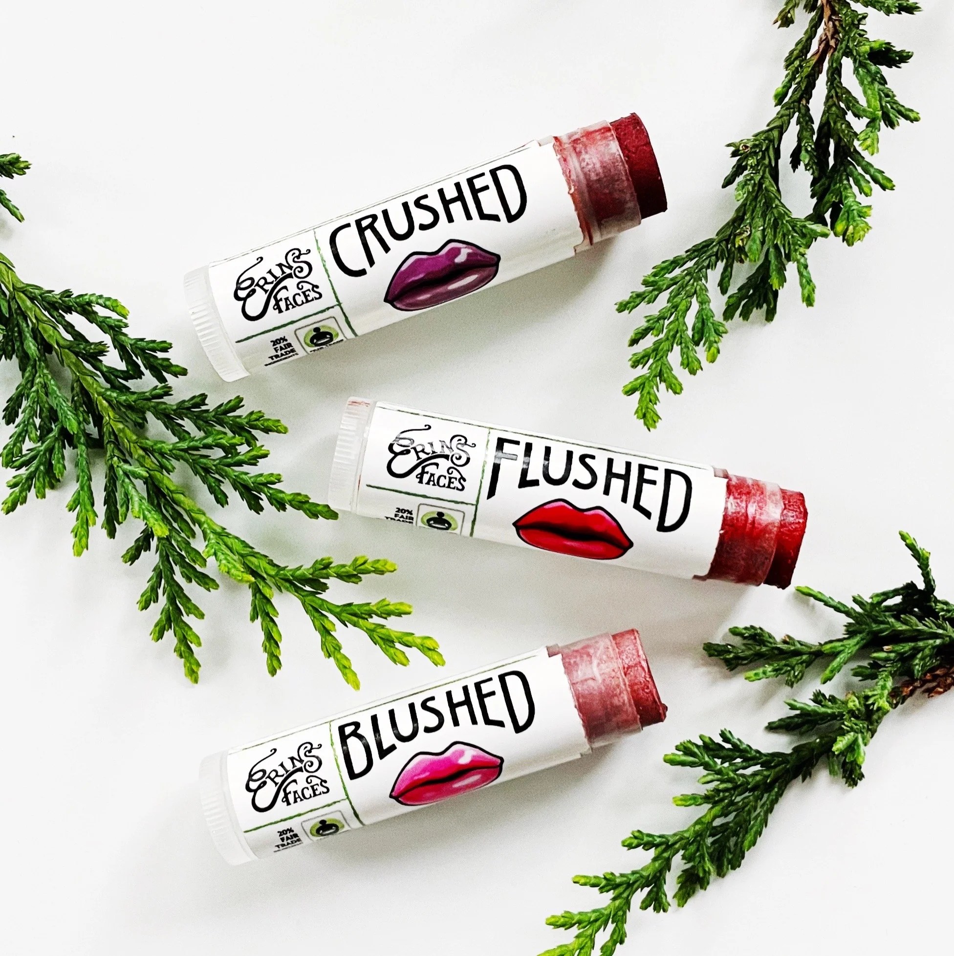 Tinted Lip Balm Gift Set Organic Makeup Clean Beauty erinsfaces