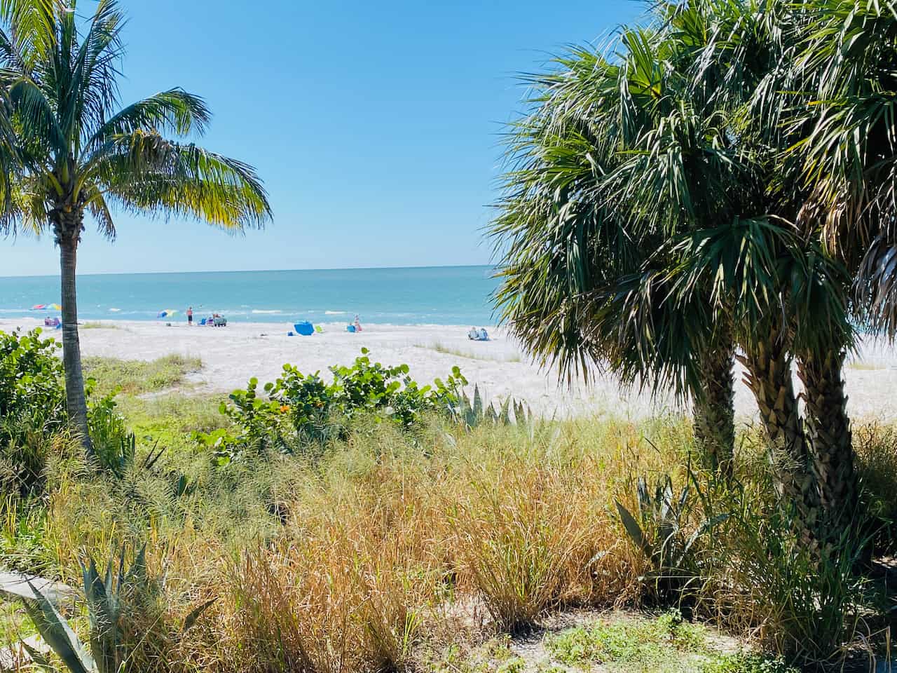 18 Top Rated Best Beaches in St Petersburg, Florida in 2023