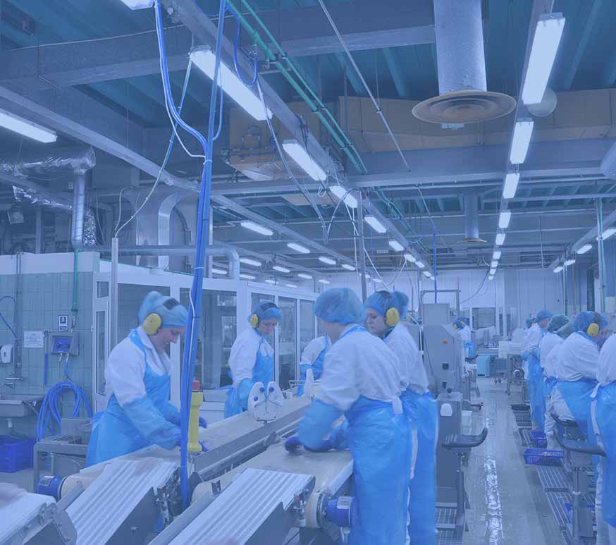 FISH PROCESSING PLANT ERKAR INDUSTRIAL COOLING SYSTEMS