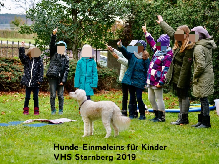Das HundeEinmaleins für Grundschulkinder ErlebnisHunde HundeErlebnisse