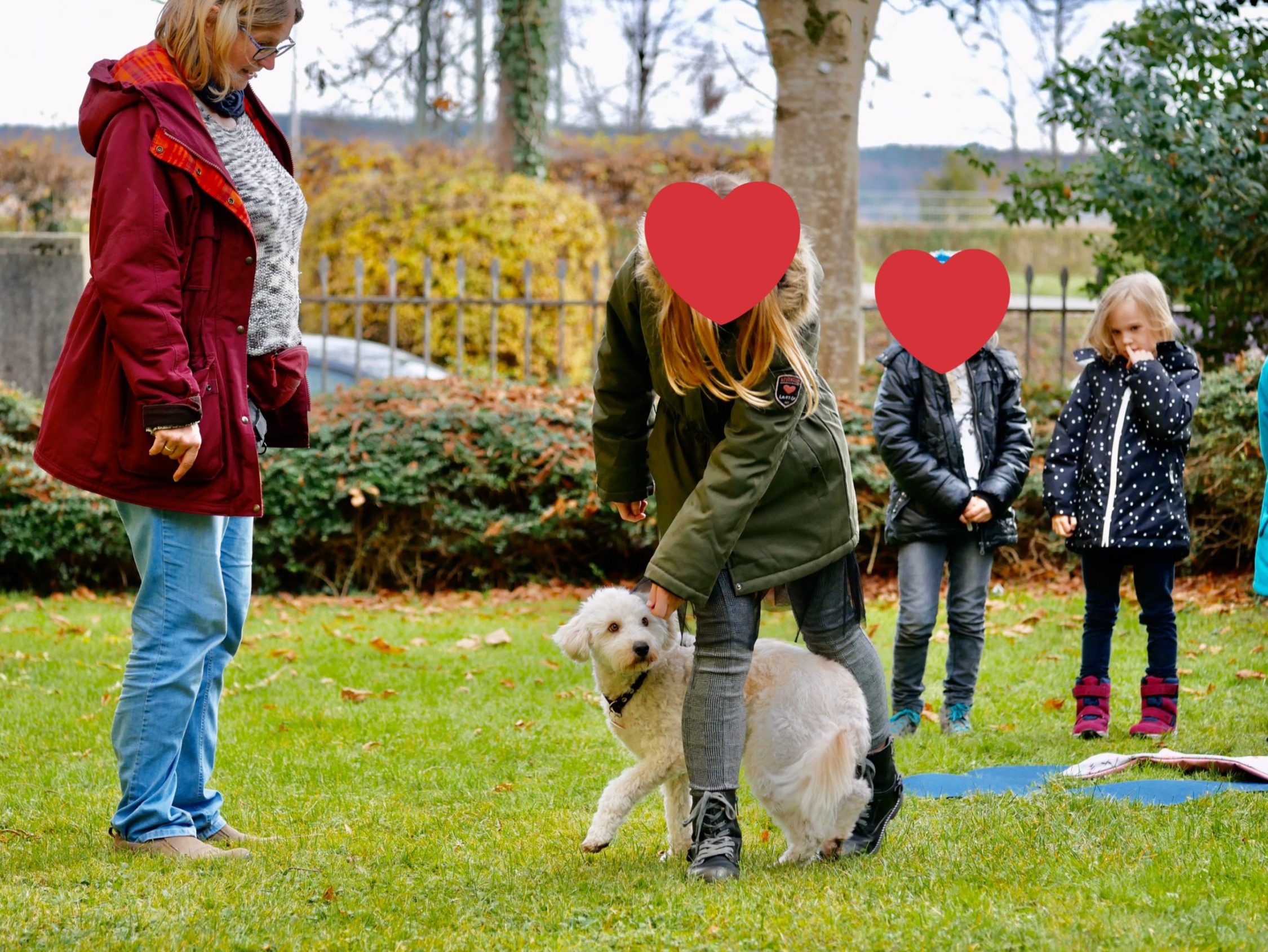 Das HundeEinmaleins für Grundschulkinder ErlebnisHunde HundeErlebnisse