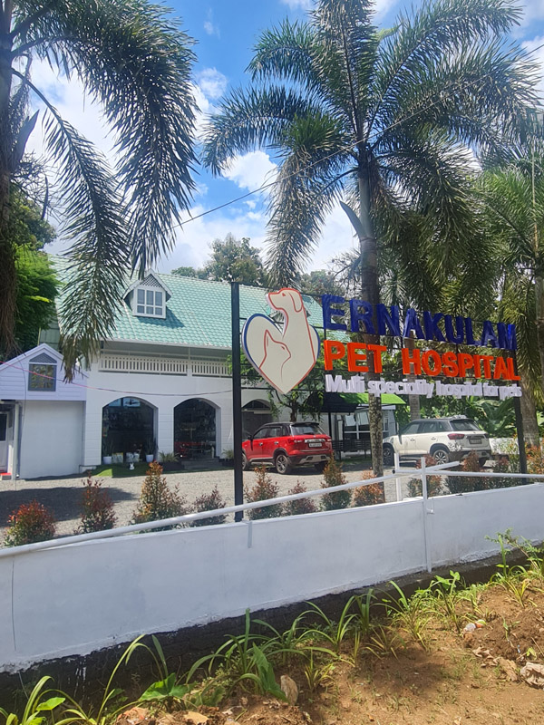 Ernakulam Pet Hospital Muvattupuzha Ernakulam Pet Hospital