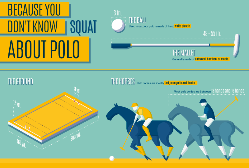 Infographics Visual Stories know more about the Polo world