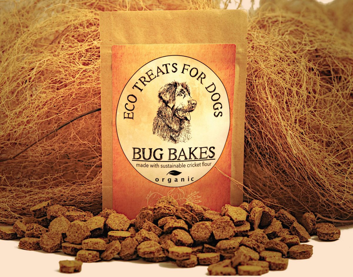 Bug Bakes Ecofriendly insect dog treats Ernie's Adventures
