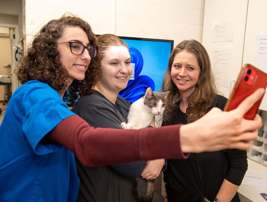 Veterinarian In East Rockaway, NY East Rockaway Veterinary