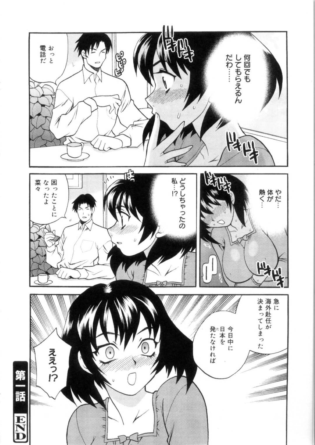 seinokeikennonainiizumahashinkonryokoudedannatoryokanniikuto_yasashiku