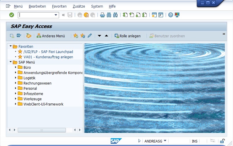 SAP GUI Das Wichtigste was Du wissen musst SAP Lexikon